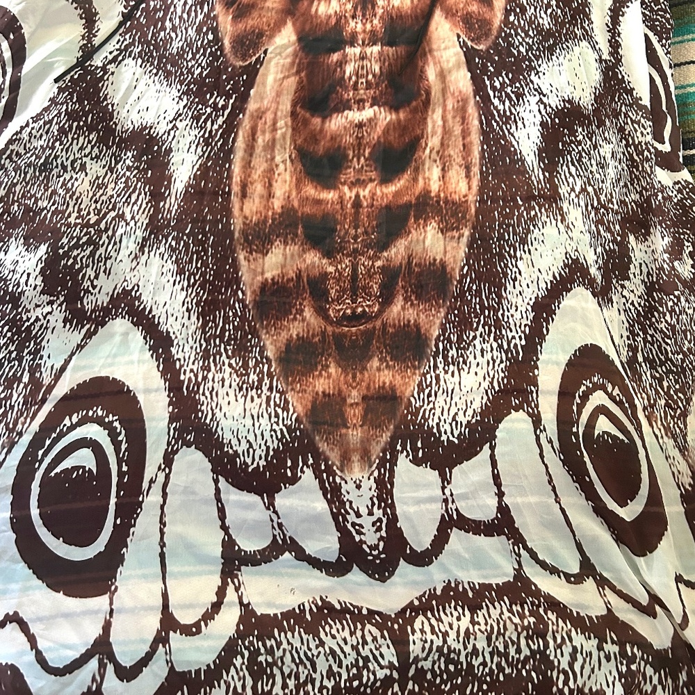 Moth Shall